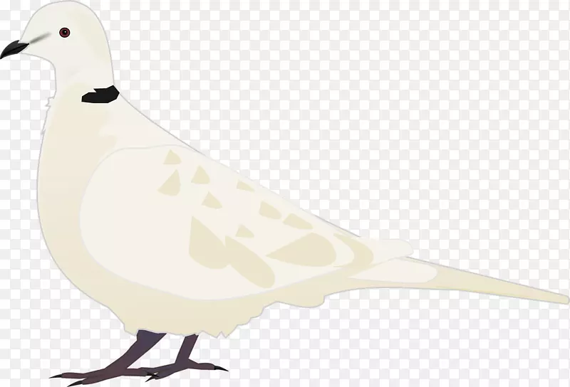 剪贴画鸭子鹅天鹅图像计算机图标png图片动物鸟类