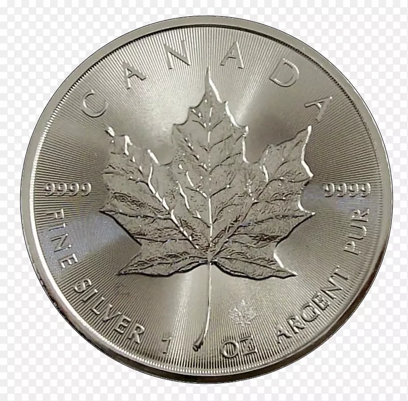 金银盎司加拿大-新鲜树叶