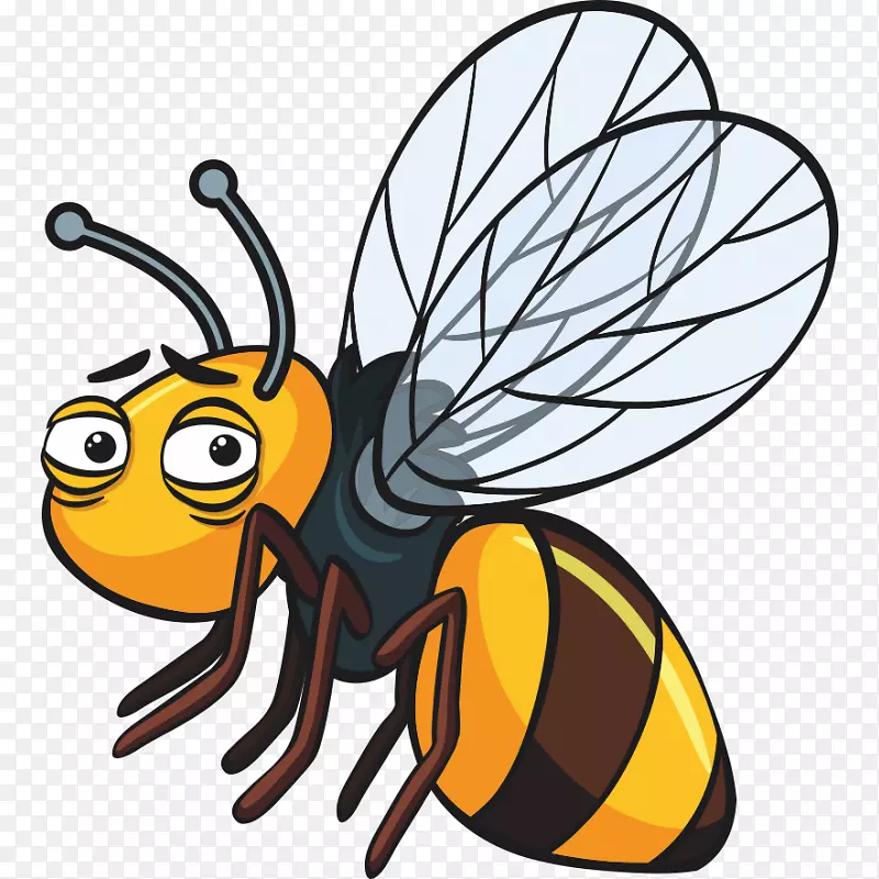 蜜蜂昆虫剪贴画图形插图-蜜蜂