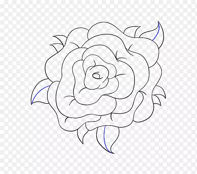 绘制玫瑰素描图像线艺术-玫瑰