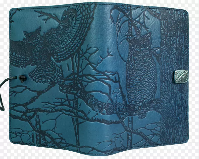 大角猫头鹰精装动物彩色-蓝色笔记本封面设计