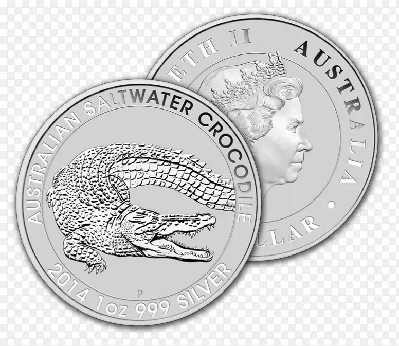 金币银咸水鳄鱼淡水鳄鱼金属硬币