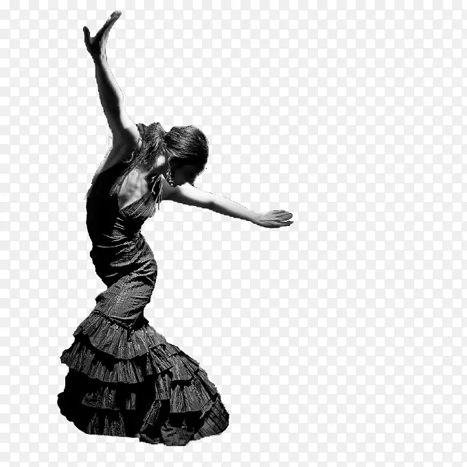 舞蹈弗拉门戈学术德巴尔雅致位置安达鲁西亚-肥胖对比