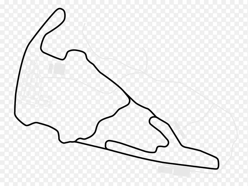 维吉尼亚国际赛车场12小时赛普威瑟科技运动锦标赛长滩英迪卡尔赛道赛车-轮胎赛道