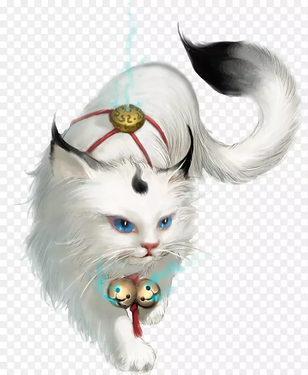 野猫尾巴yō开狗猫