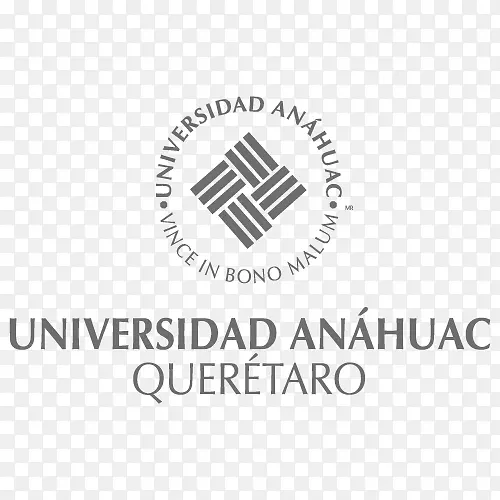圣地亚哥·德奎莱塔罗大学标志Anahuac大学网络品牌ANáhuac-设计