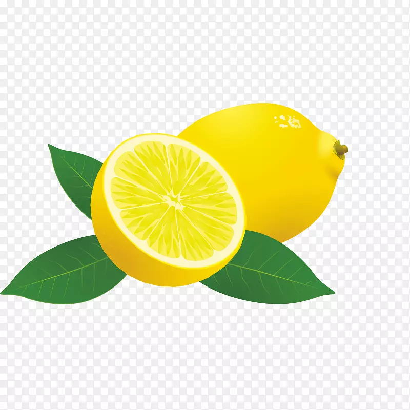 香甜柠檬波斯酸橙柠檬汁柠檬卡通