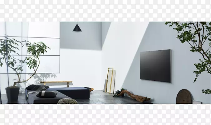 sony bravia xbr 65x930e-65“led智能电视-4k超高清液晶显示屏背光液晶索尼高清电视4k分辨率电视柜