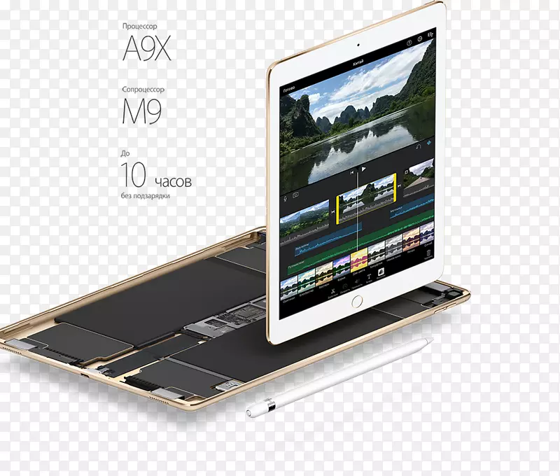 ipad pro(12.9英寸)(第二代)苹果ipad pro 9.7英寸(32 GB，wi-fi，玫瑰金)mm172ll/a-超市促销