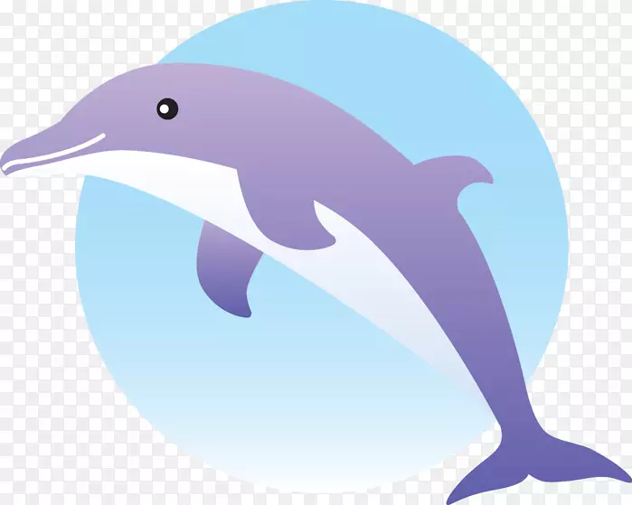 普通宽吻海豚短喙普通海豚png图片剪辑艺术海豚