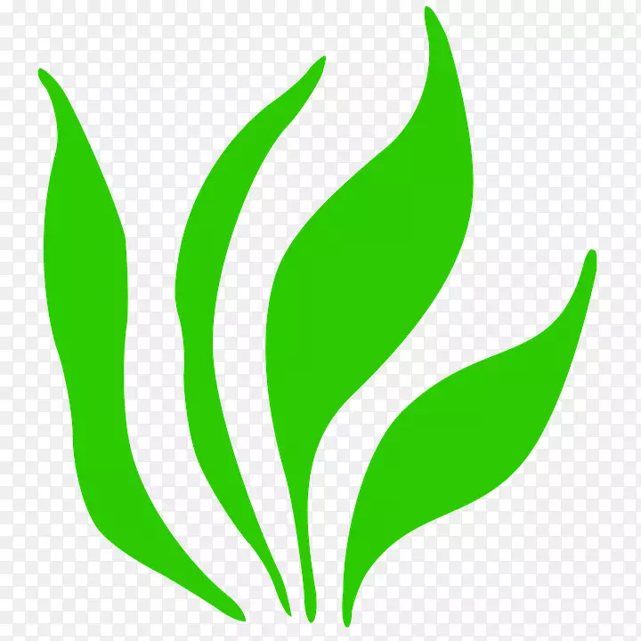 剪贴画电脑图标草本植物图像草