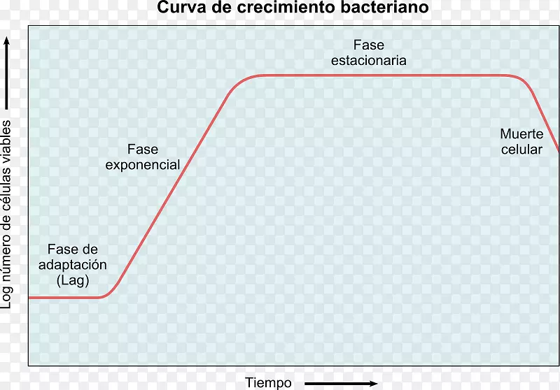 细菌生长曲线微生物代谢微生物角