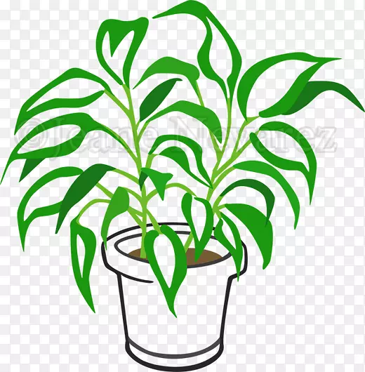 剪贴画花盆植物茎叶线-叶
