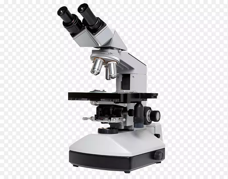 显微镜切片显微图像细胞显微镜
