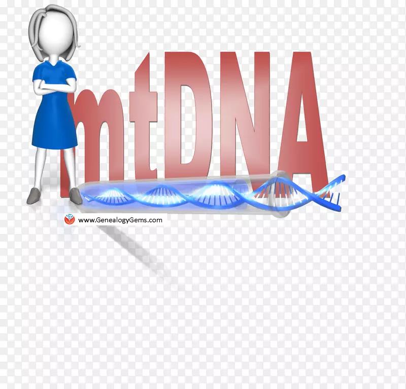 商标产品设计字体DNA测试