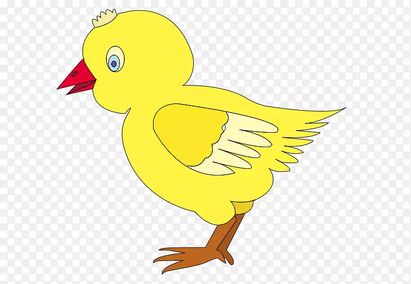 鸭鸡夹艺术开放式图.鸭