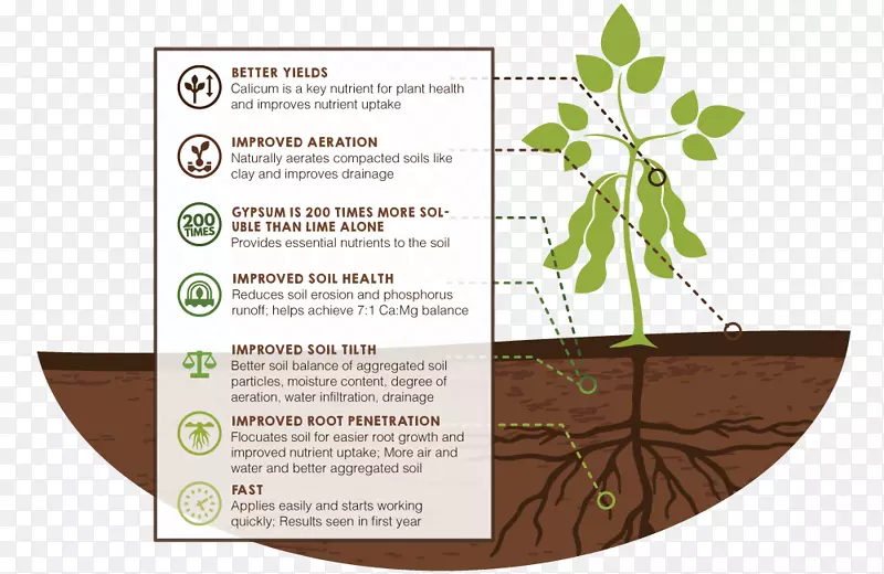 土壤石膏覆盖作物钙雨