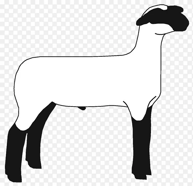 萨福克羊汉普郡羊剪辑艺术波尔山羊露台-绵羊繁育者