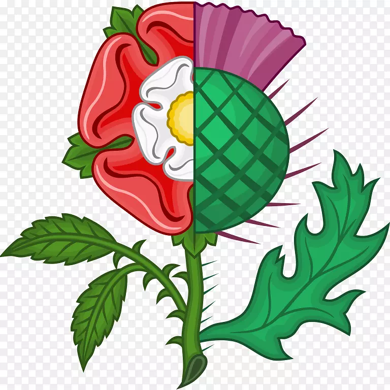 苏格兰蒂斯蒂升起了翠丝尔和玫瑰的冠冕-玫瑰。