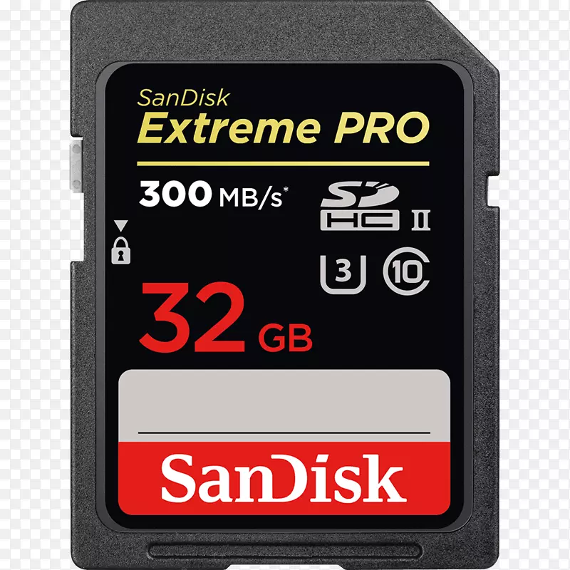 闪存卡安全数字SanDisk SDXC-GIG