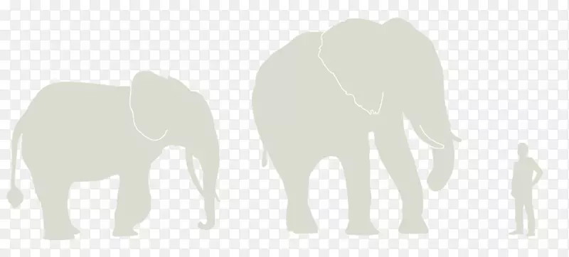 印度象非洲象产品设计-非洲草原