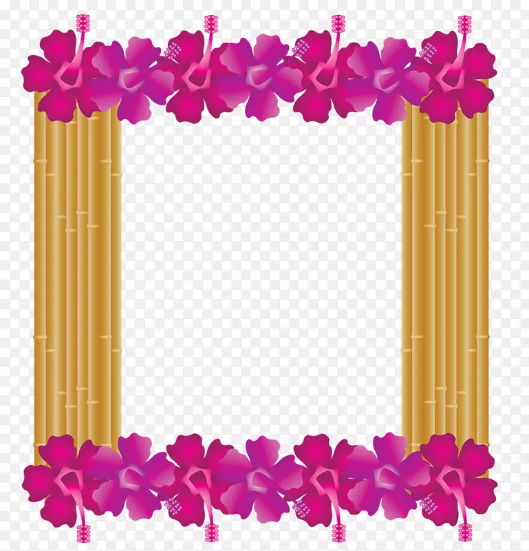 画框、剪贴画、花卉设计图片、夏威夷-热带框架艺术