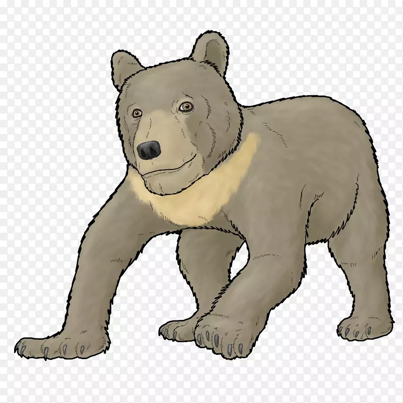 北极熊，棕熊，洞穴熊-北极熊