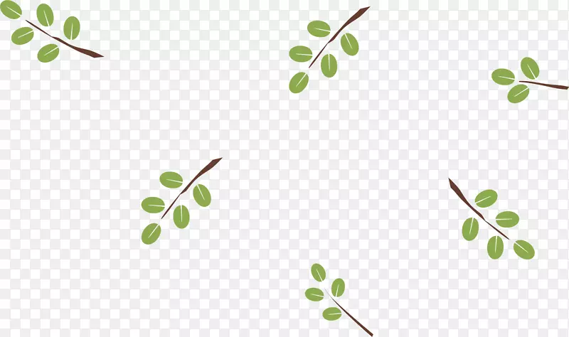 嫩枝绿色植物茎叶计算机-叶