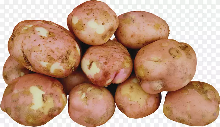 Russet Burbank土豆育空金土豆炸薯条剪贴画爱尔兰马铃薯糖果