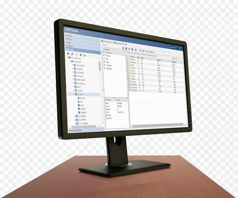 电脑监控膝上型电脑软件sas研究所分析-id软件