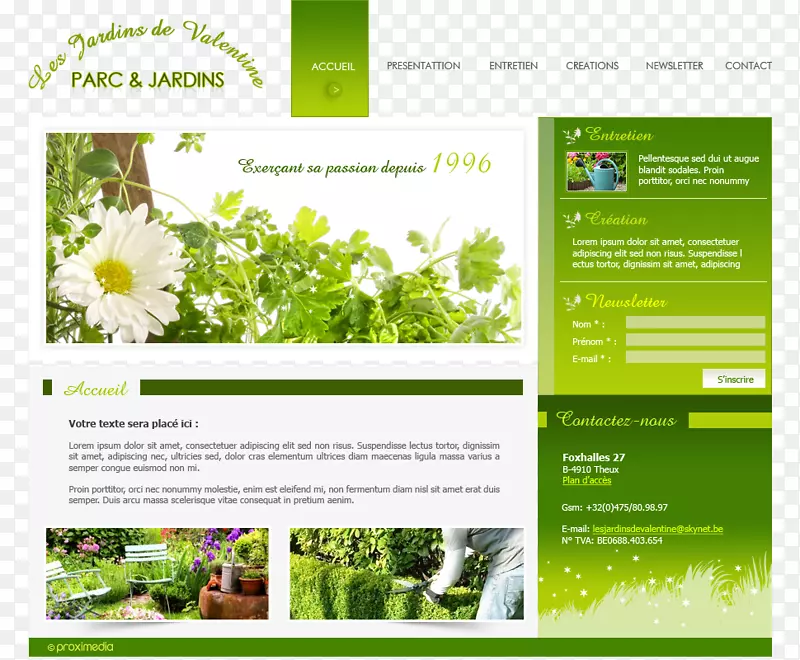 草药园艺：种植草药治疗和烹饪植物的网页参考工作.布局