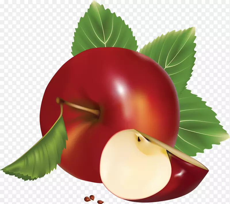 Macintosh剪贴画png图片苹果图标图像格式-苹果