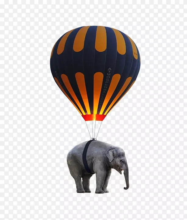 热气球大象玩具气球