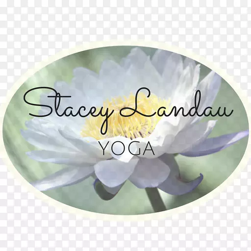 Stacey landau瑜伽疗法Radlett st Albans-瑜伽课程
