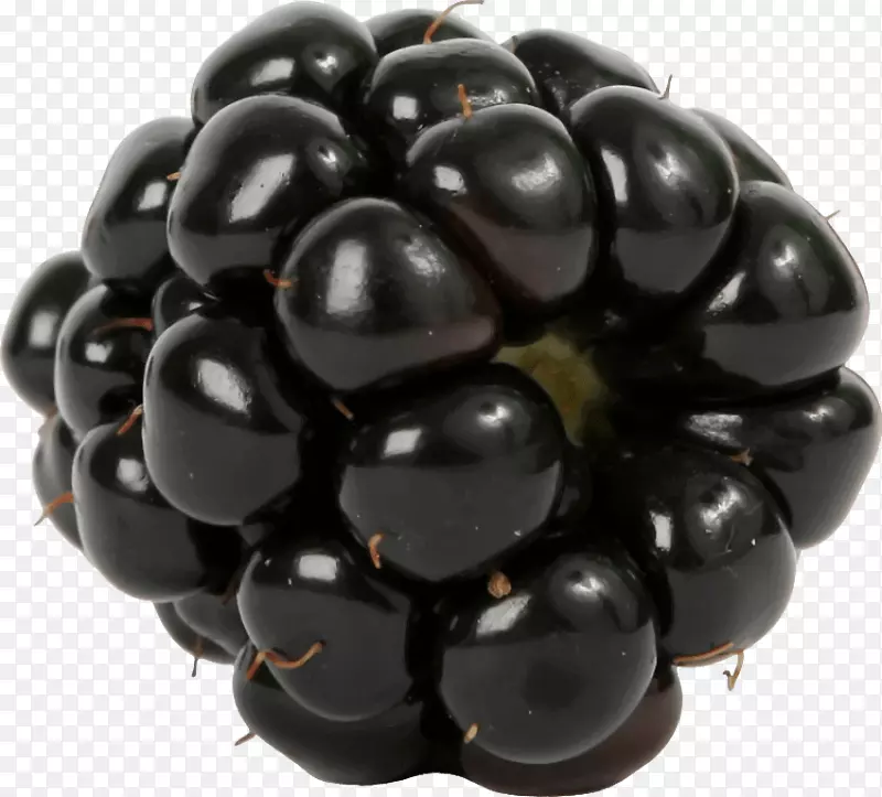 食物黑莓水果早餐-黑莓