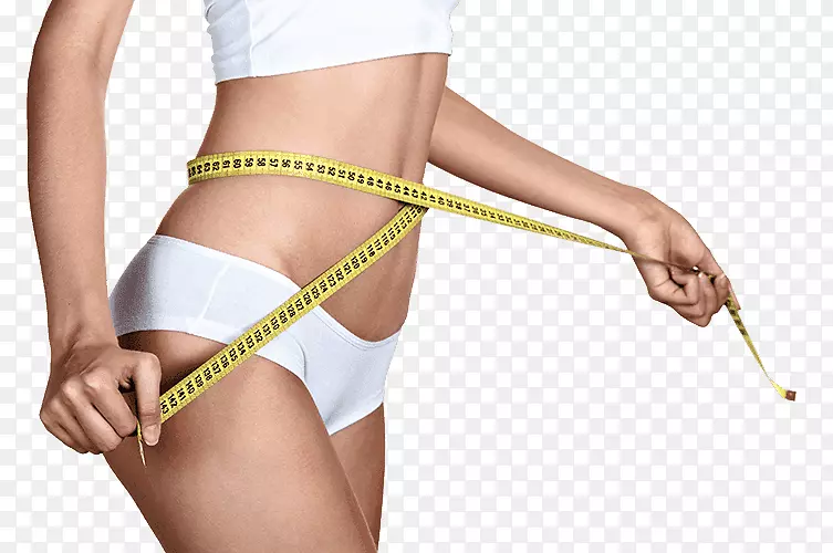 人体腰抽脂脂肪组织女性体形-饮食计量器