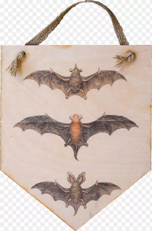 蝙蝠插图剪贴画图形