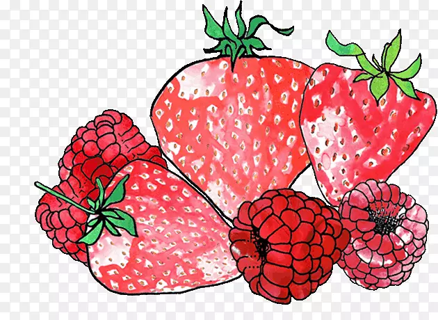 草莓蔬菜超食用天然食品.水果提取