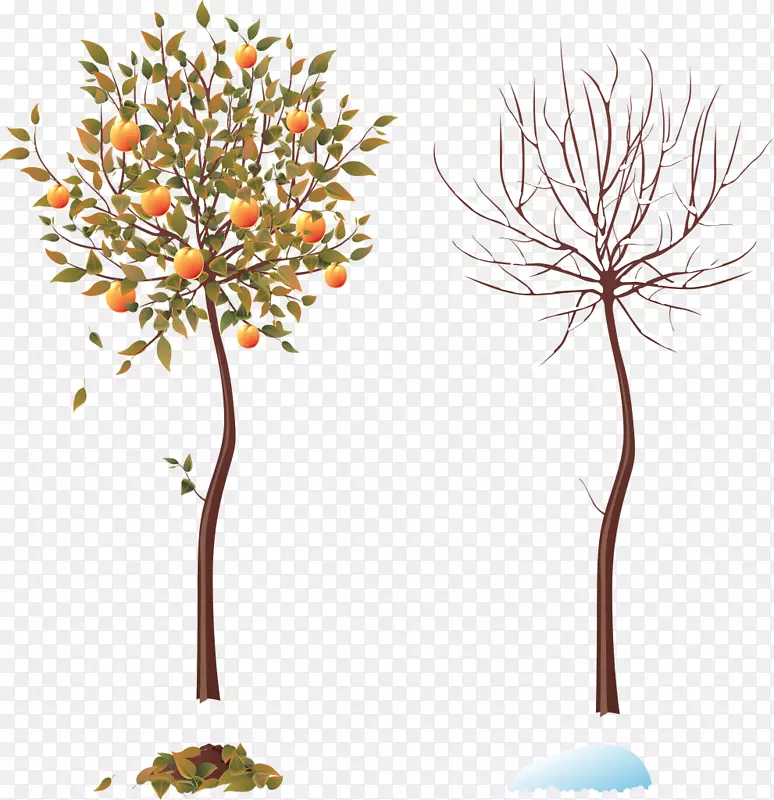 季节树秋季安装艺术冬-四季树