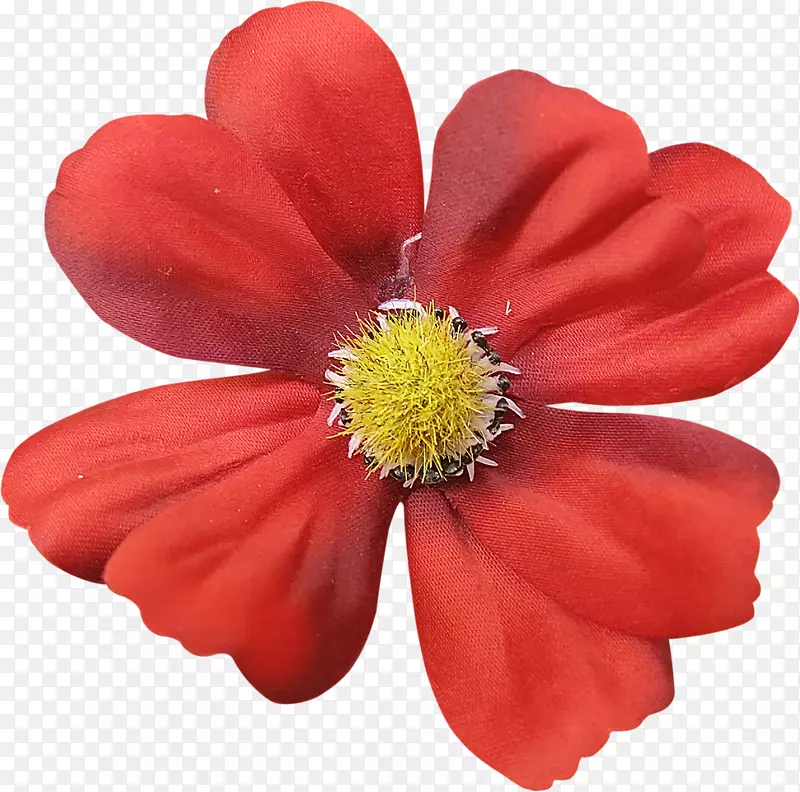 花瓣切花-红花