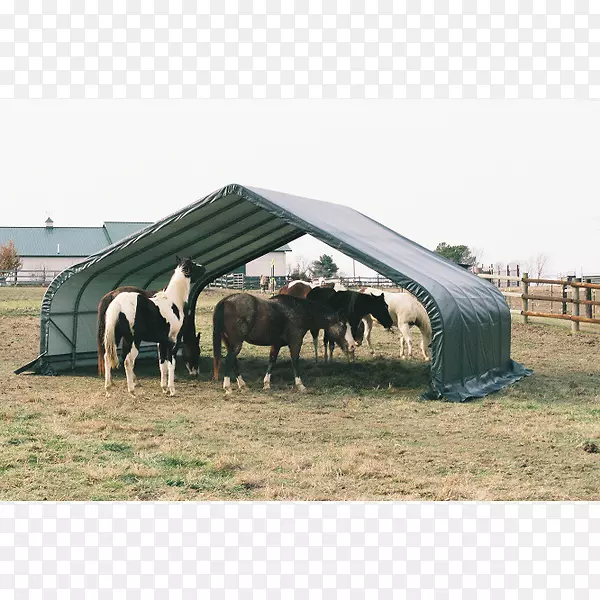 马棚棚屋车库檐篷-高级遮阳