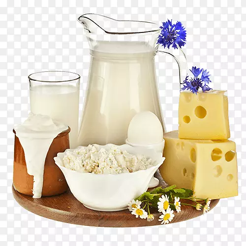 植物乳奶油乳制品乳酪-牛奶