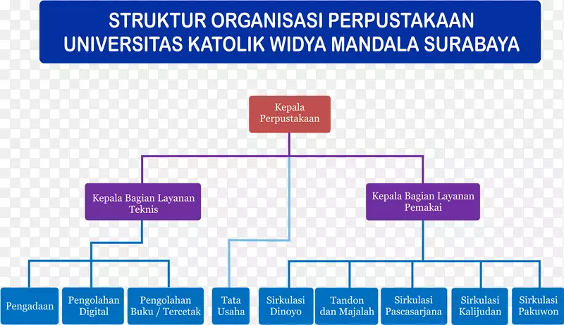 Widya mandala天主教大学公共图书馆Surabaya-struktur Organisasi
