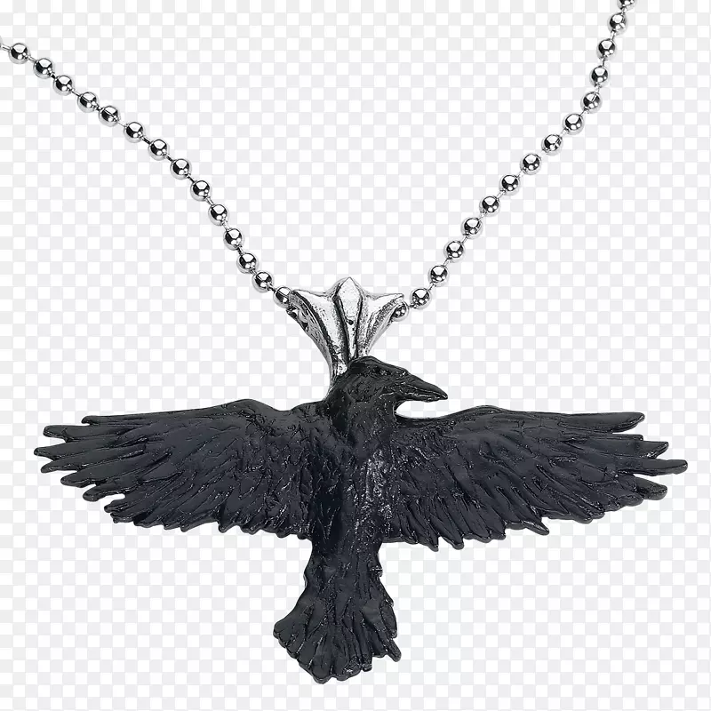 魅力和吊坠耳环项链珠宝炼金术哥特式黑色乌鸦吊坠-项链