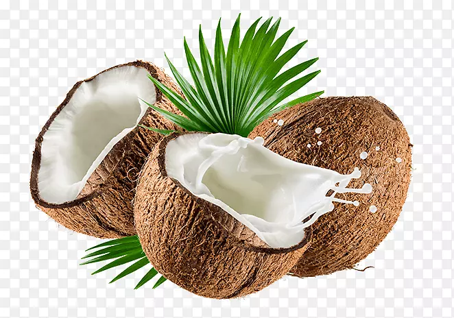 椰子奶粉有机食品椰子水-牛奶