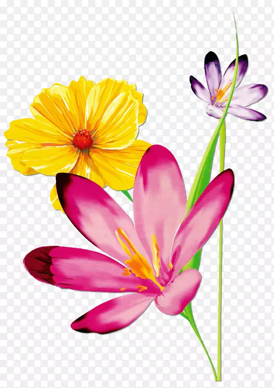 花卉美丽蝴蝶形象剪贴画花卉设计