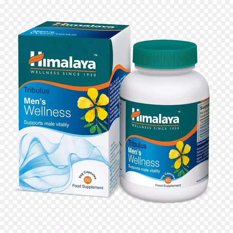 饮食补充剂喜马拉雅山金银花健康、健身和健康-健康