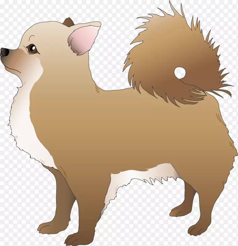 犬种吉娃娃插画艺术-小狗