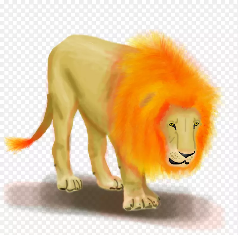 狮子大猫吼动物-狮子