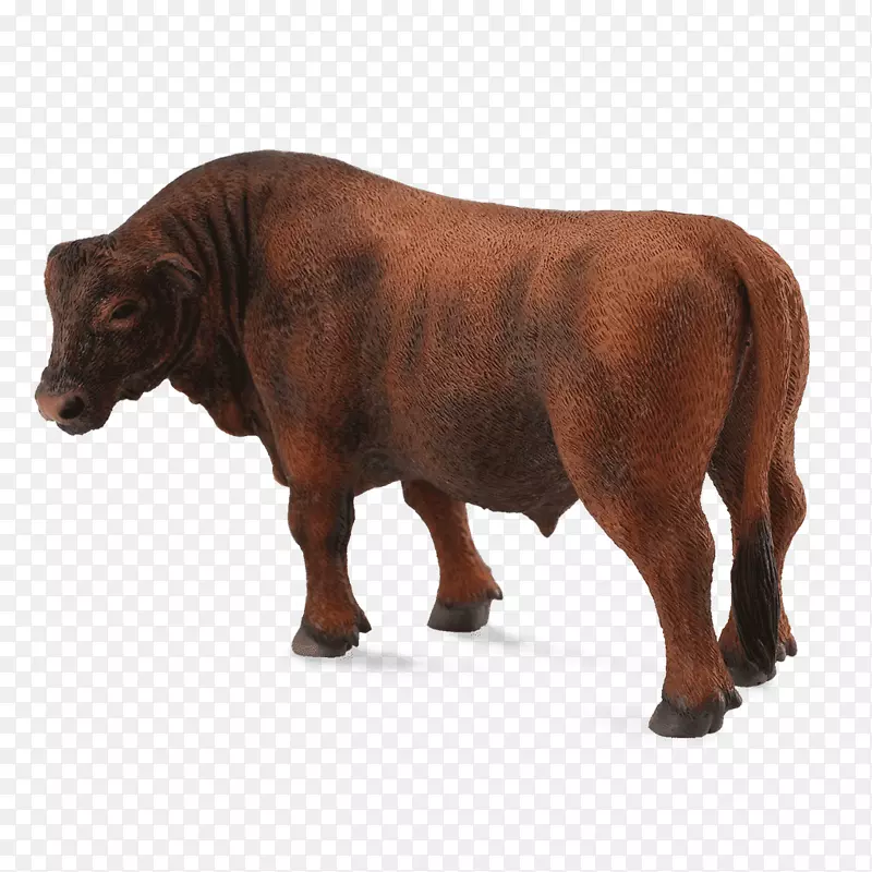 安格斯牛，红牛，婆罗门牛，赫里福德牛群，安格斯牛，西班牙牛